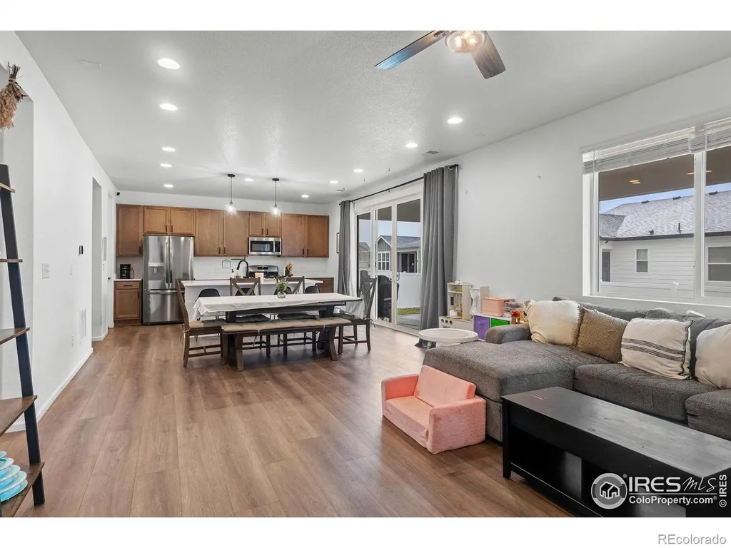 1228 Argali Drive Severance CO 80550