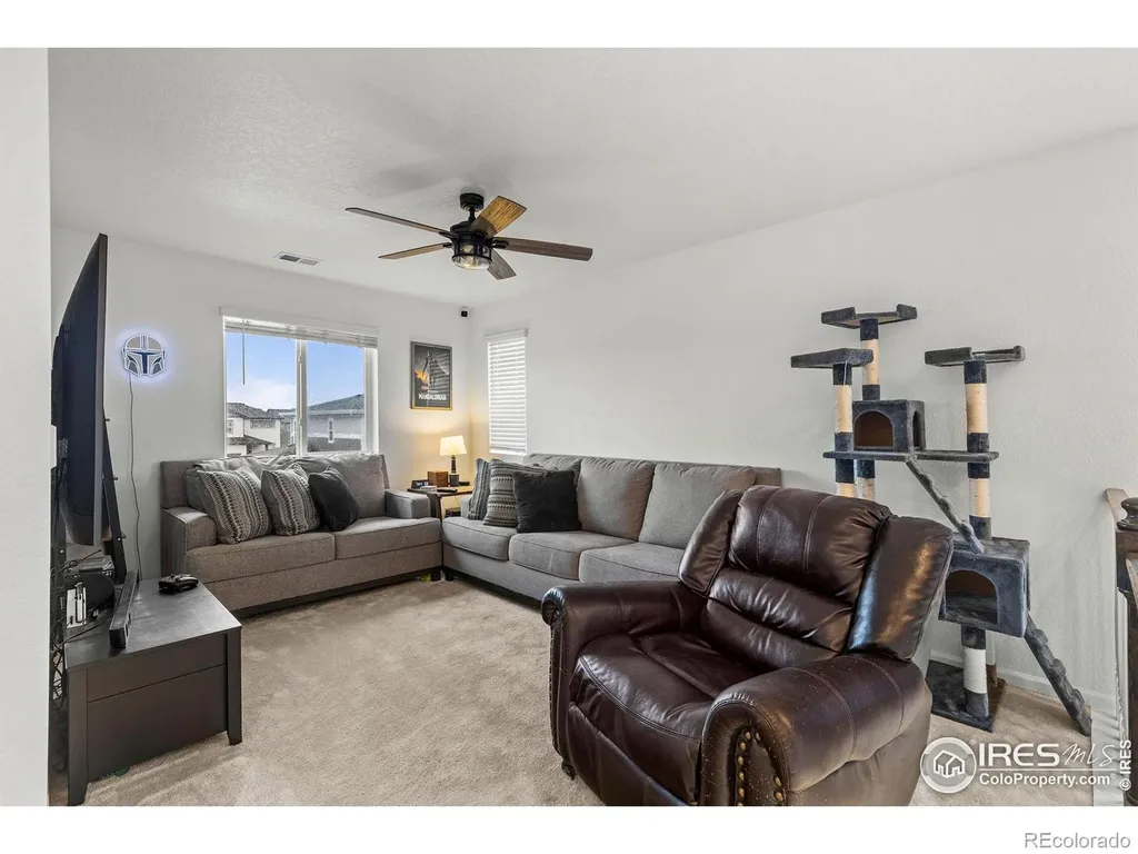 1228 Argali Drive Severance CO 80550