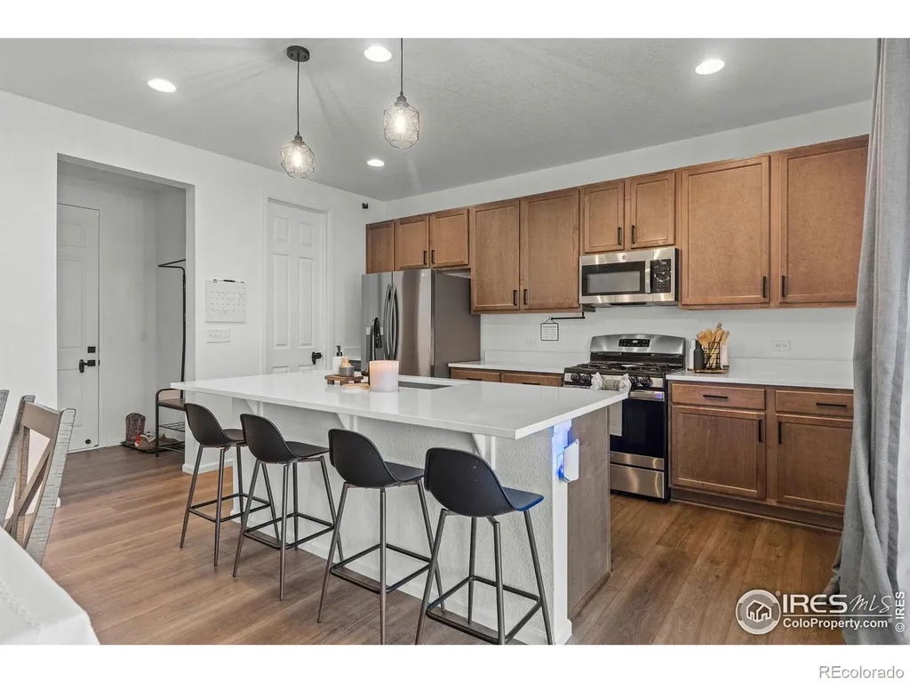 1228 Argali Drive Severance CO 80550