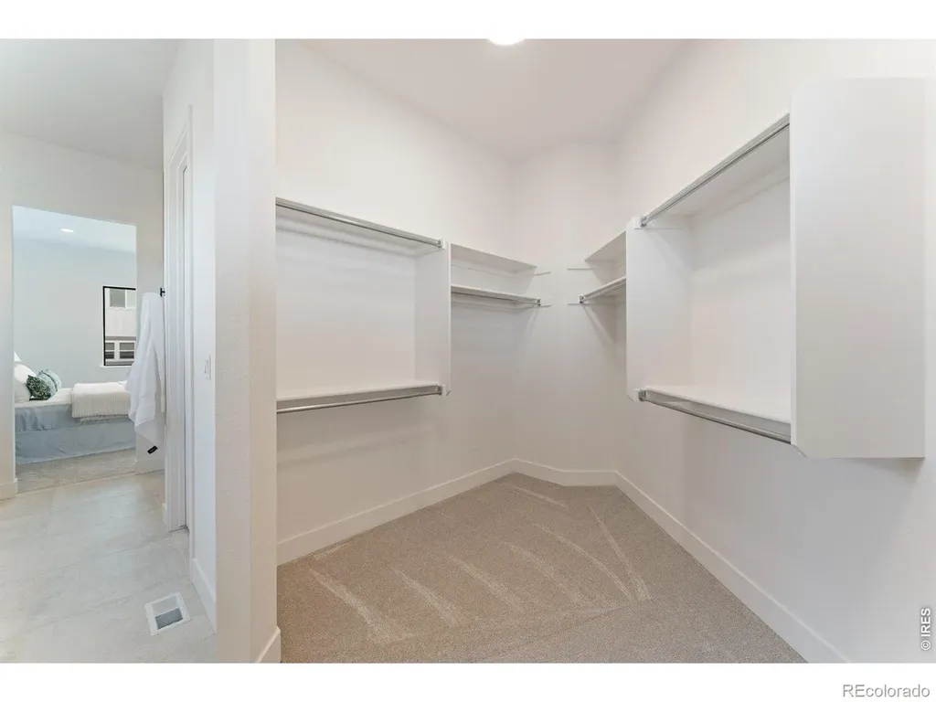 823 Clydesdale Drive Windsor CO 80550