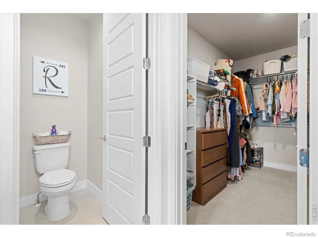 1322 Alyssa Drive Timnath CO 80547