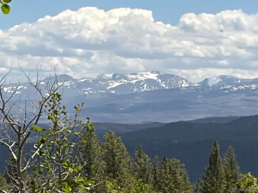 115 Wenro Court Red Feather Lakes CO 80545