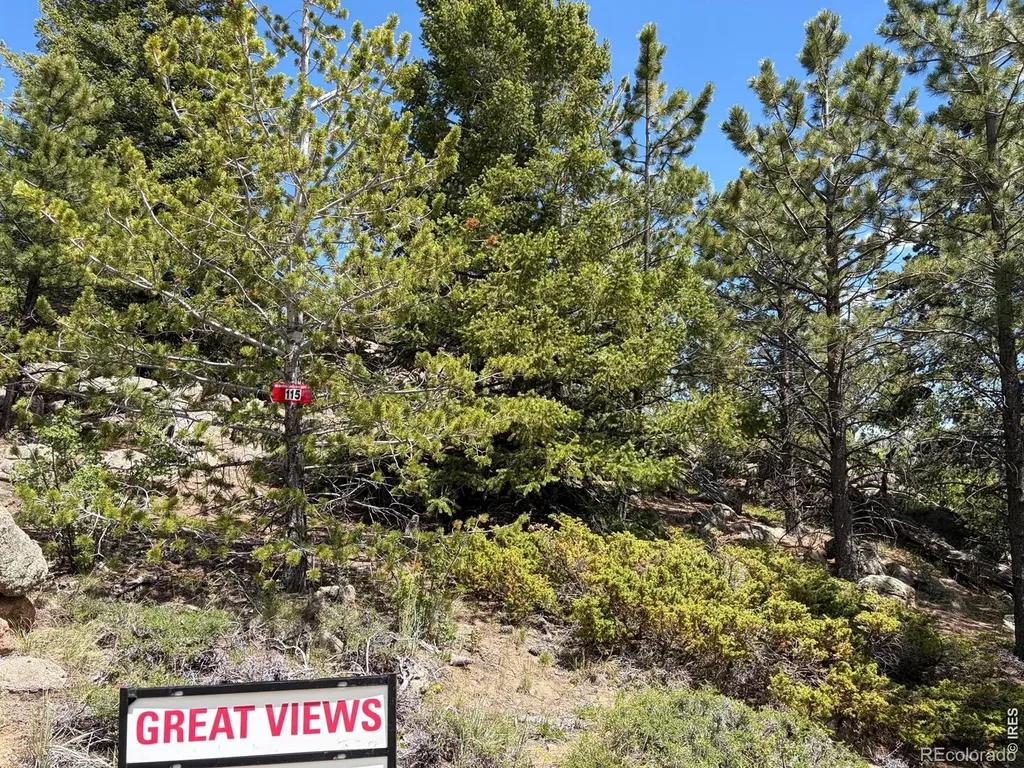 115 Wenro Court Red Feather Lakes CO 80545