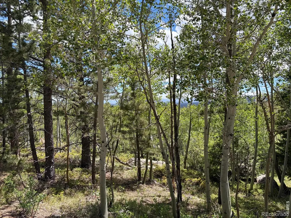 115 Wenro Court Red Feather Lakes CO 80545