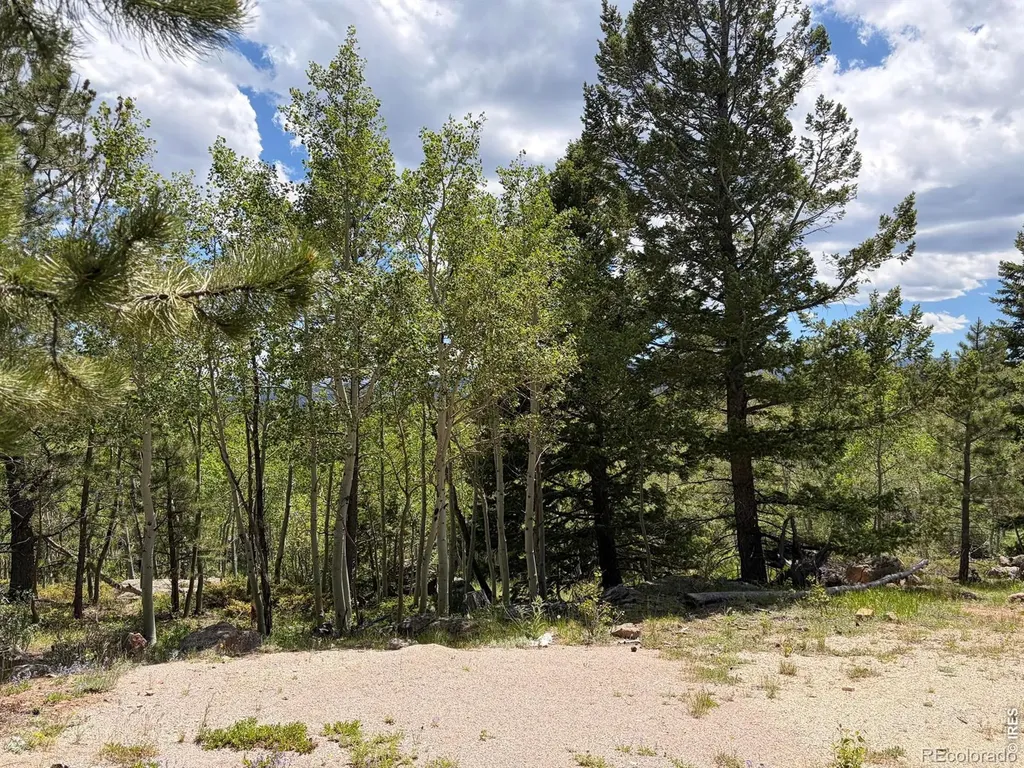 115 Wenro Court Red Feather Lakes CO 80545