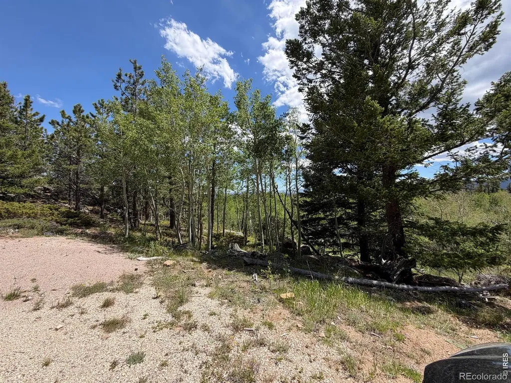 115 Wenro Court Red Feather Lakes CO 80545
