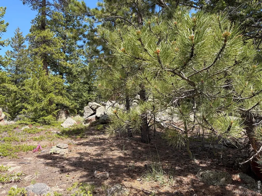 115 Wenro Court Red Feather Lakes CO 80545