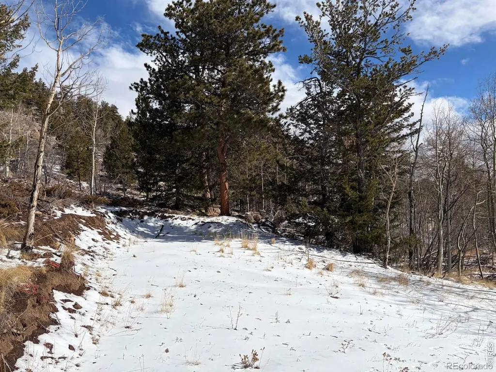 115 Wenro Court Red Feather Lakes CO 80545