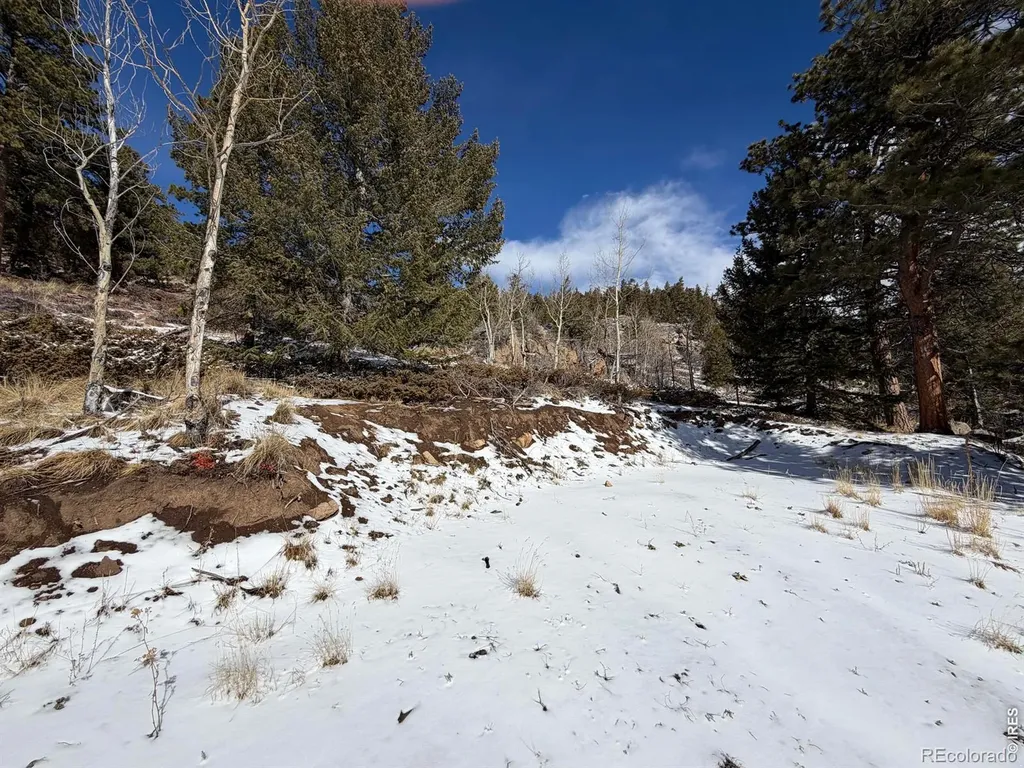 115 Wenro Court Red Feather Lakes CO 80545