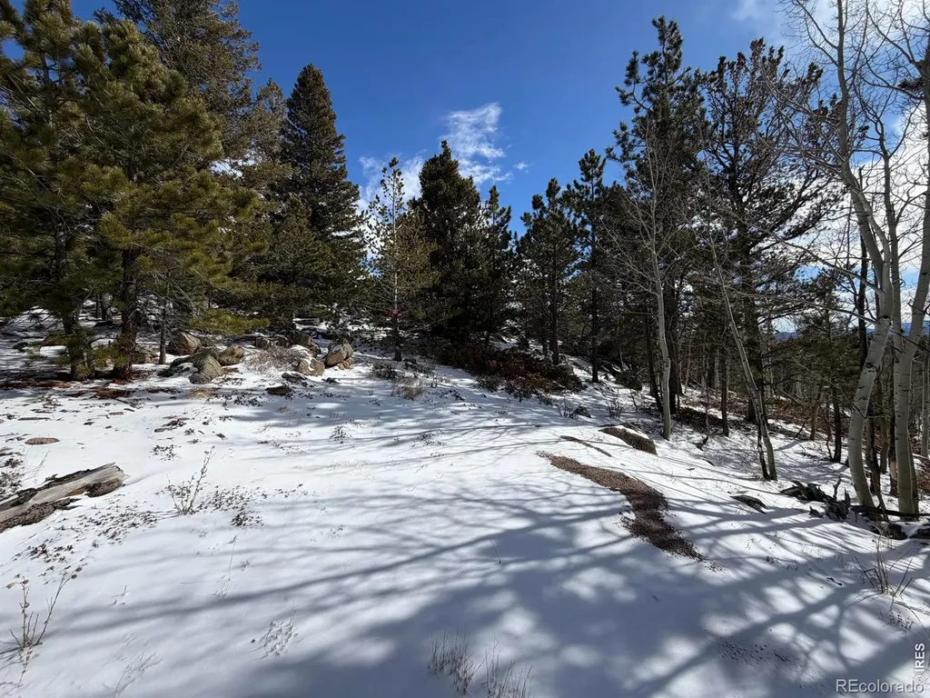 115 Wenro Court Red Feather Lakes CO 80545