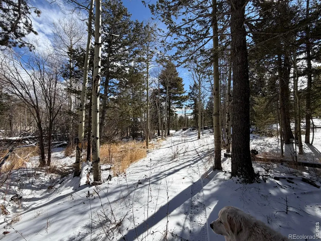 115 Wenro Court Red Feather Lakes CO 80545