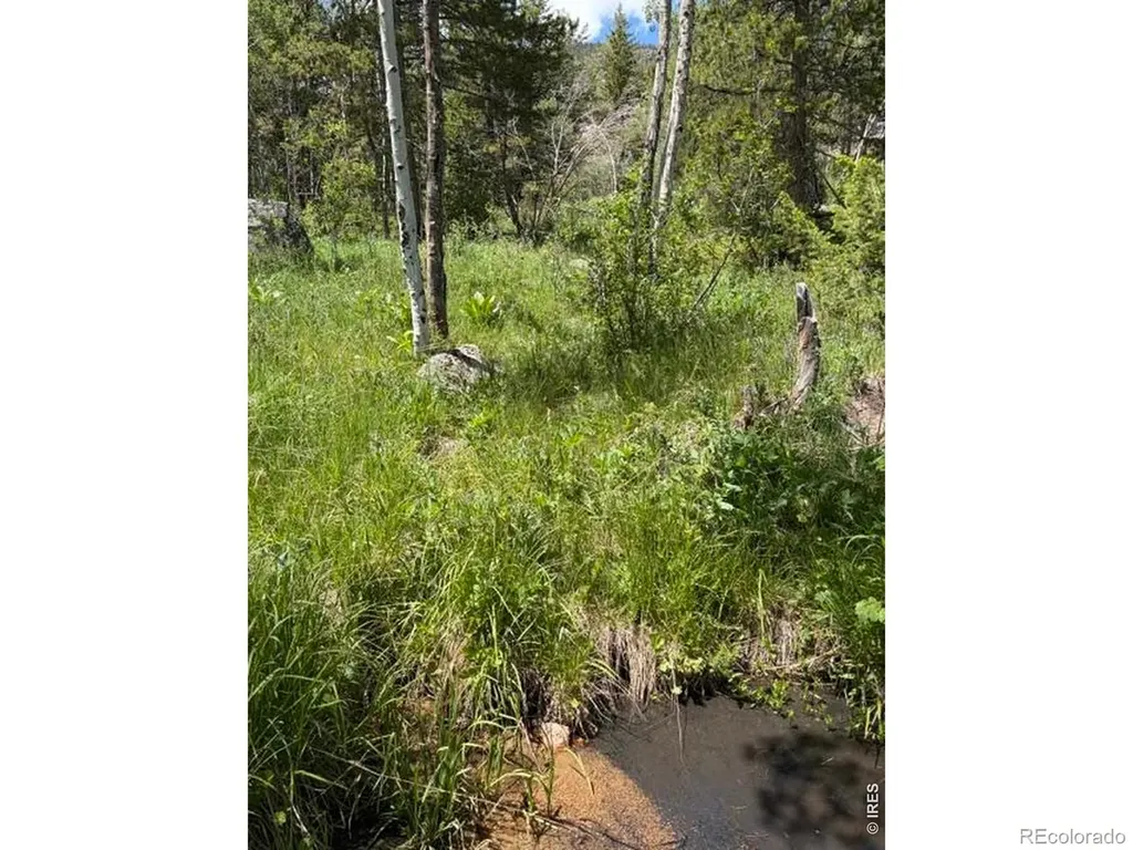 115 Wenro Court Red Feather Lakes CO 80545