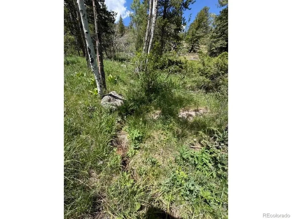 115 Wenro Court Red Feather Lakes CO 80545