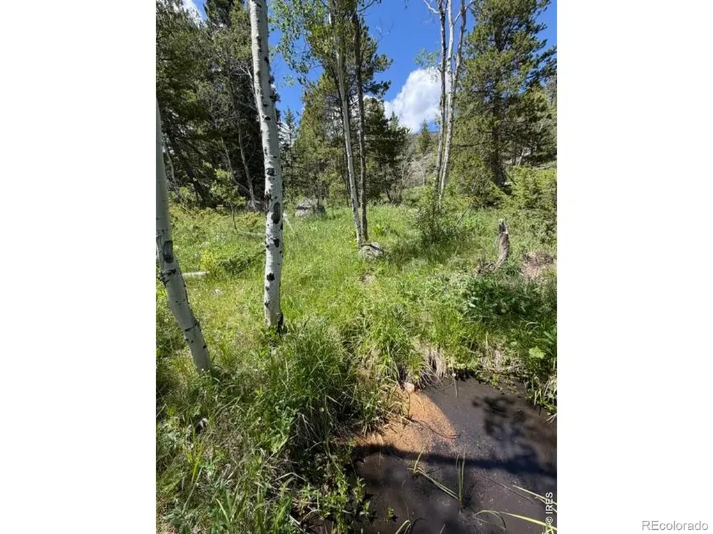 115 Wenro Court Red Feather Lakes CO 80545