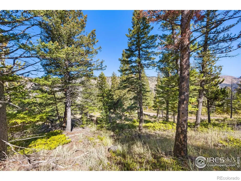 323 Roxbury Drive Boulder CO 80302