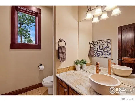 1782 Tulip Tree Place Castle Rock CO 80108