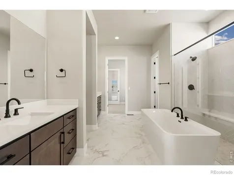 1641 Flourish Court Windsor CO 80550