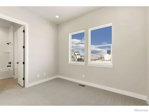 1641 Flourish Court Windsor CO 80550