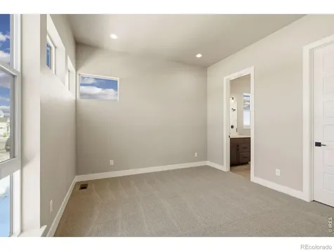 1641 Flourish Court Windsor CO 80550