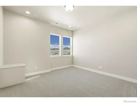 1641 Flourish Court Windsor CO 80550