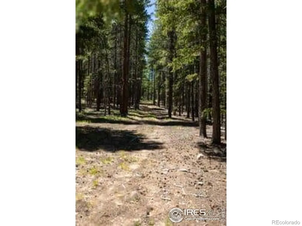 1001 Pactolus Lake Road Black Hawk CO 80422