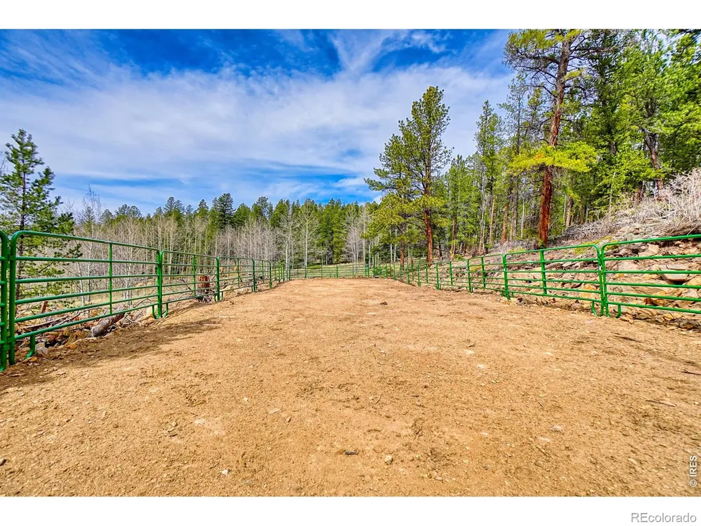 1447 Coyote Circle Black Hawk CO 80422