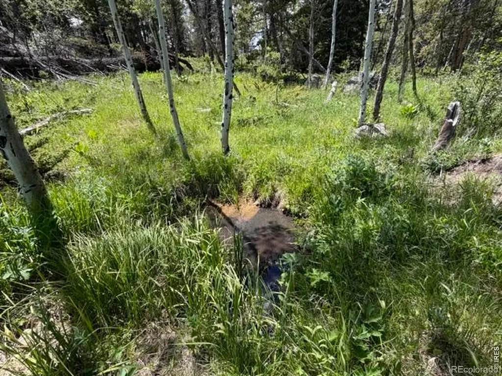 171 Spokane Court Red Feather Lakes CO 80545