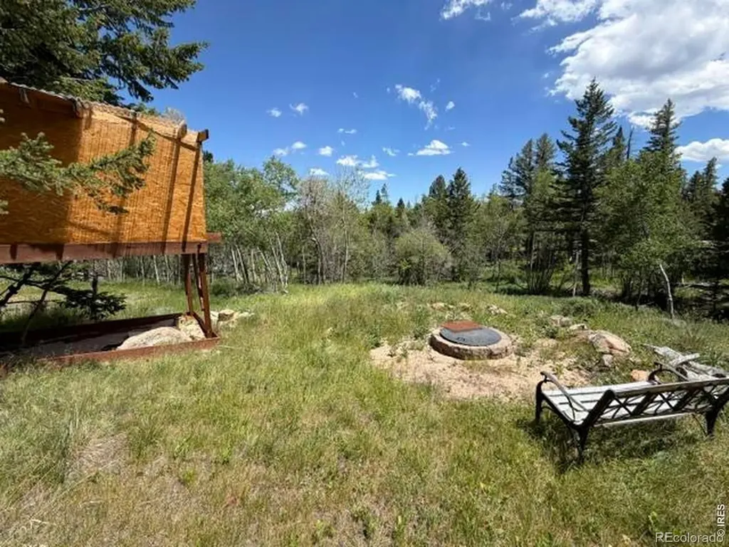 171 Spokane Court Red Feather Lakes CO 80545