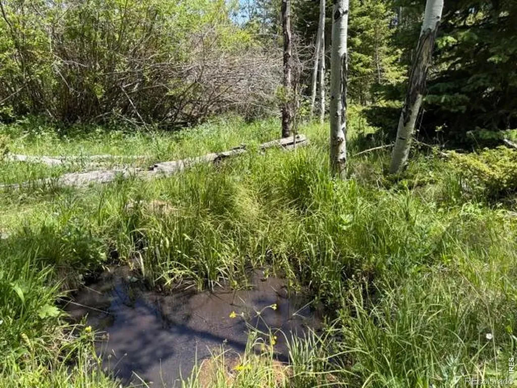 171 Spokane Court Red Feather Lakes CO 80545