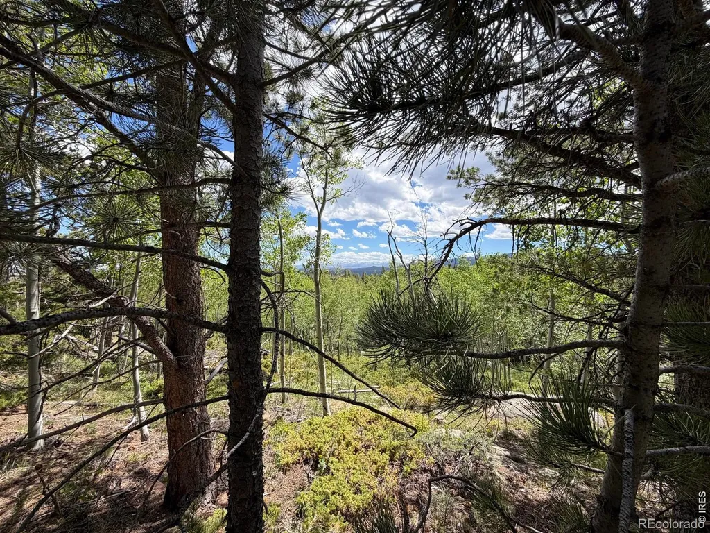 171 Spokane Court Red Feather Lakes CO 80545