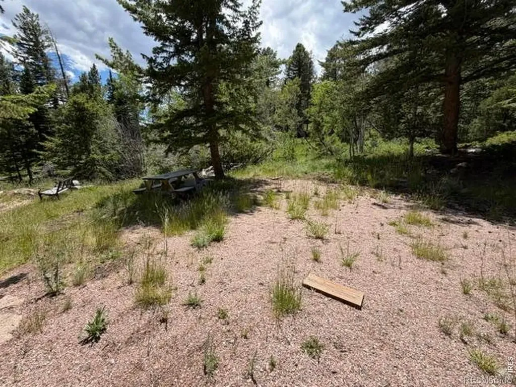 171 Spokane Court Red Feather Lakes CO 80545