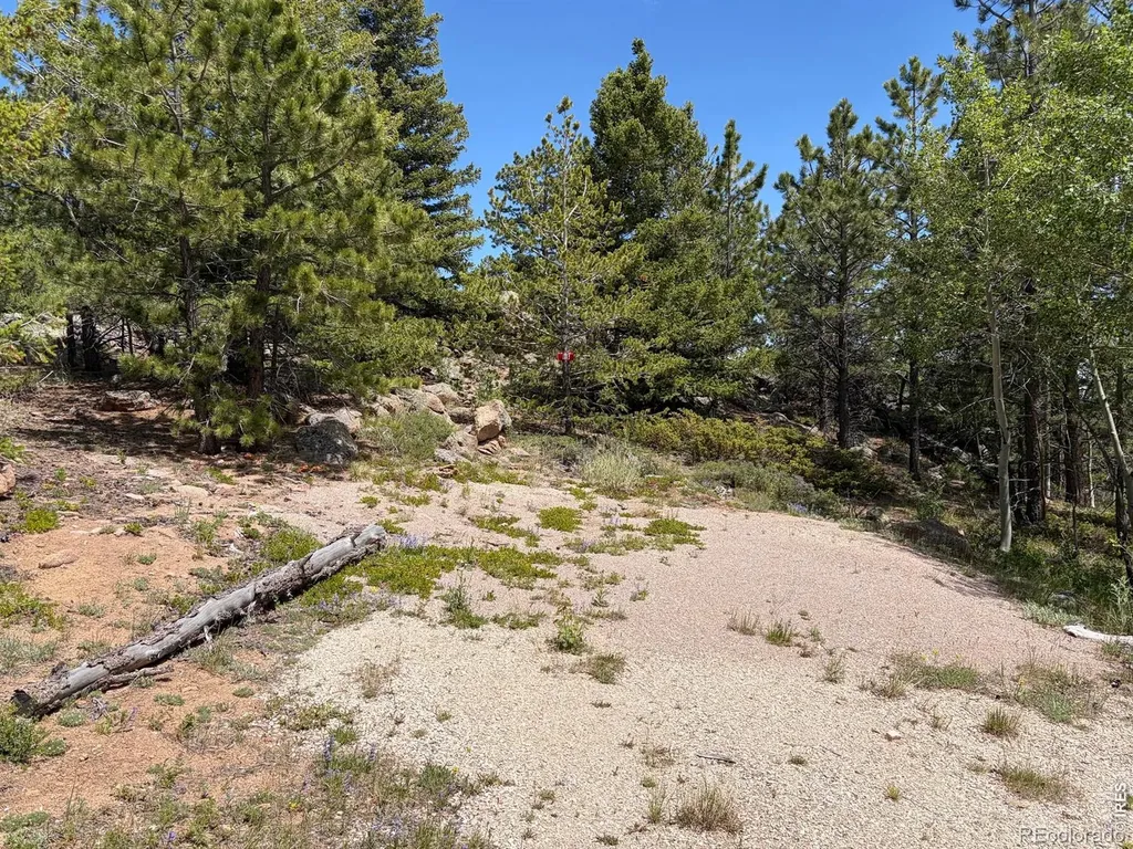 171 Spokane Court Red Feather Lakes CO 80545