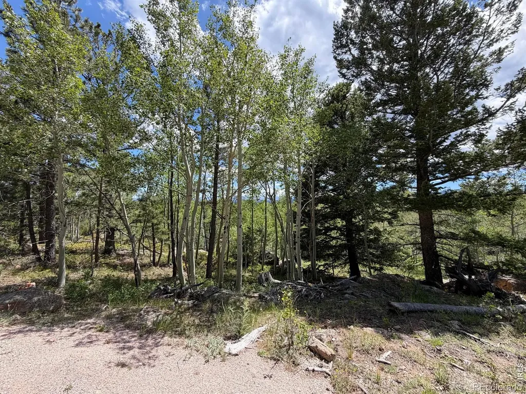 171 Spokane Court Red Feather Lakes CO 80545