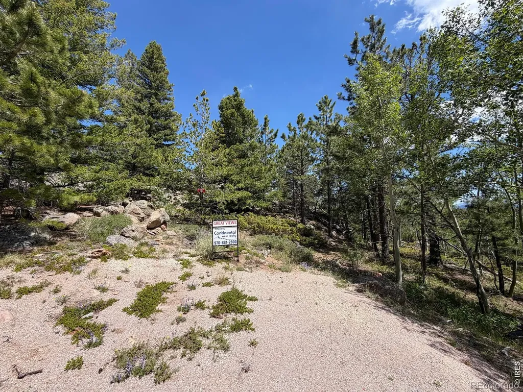 171 Spokane Court Red Feather Lakes CO 80545