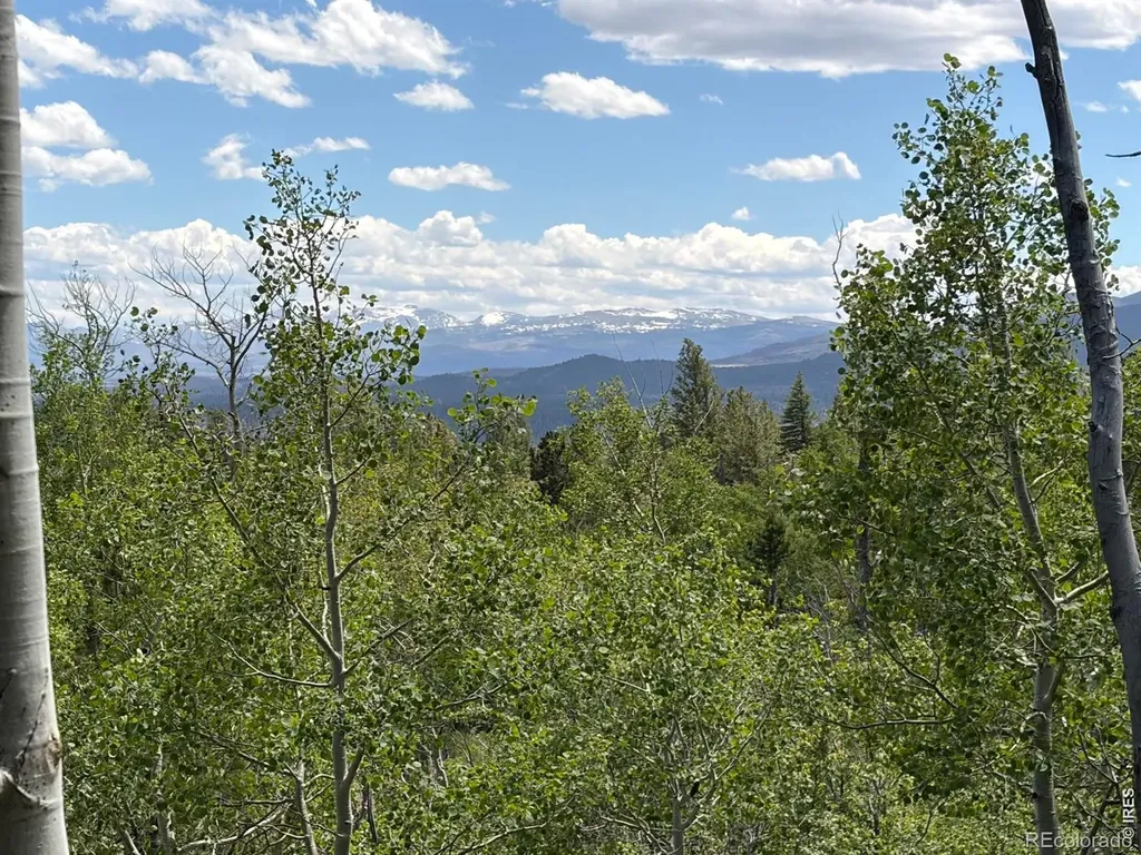 171 Spokane Court Red Feather Lakes CO 80545