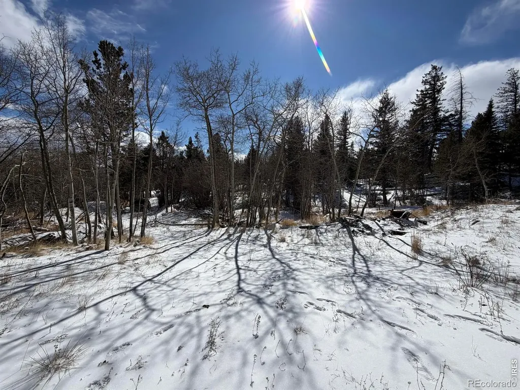 171 Spokane Court Red Feather Lakes CO 80545