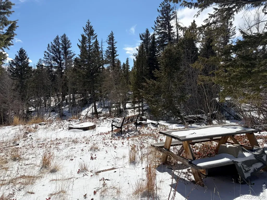 171 Spokane Court Red Feather Lakes CO 80545