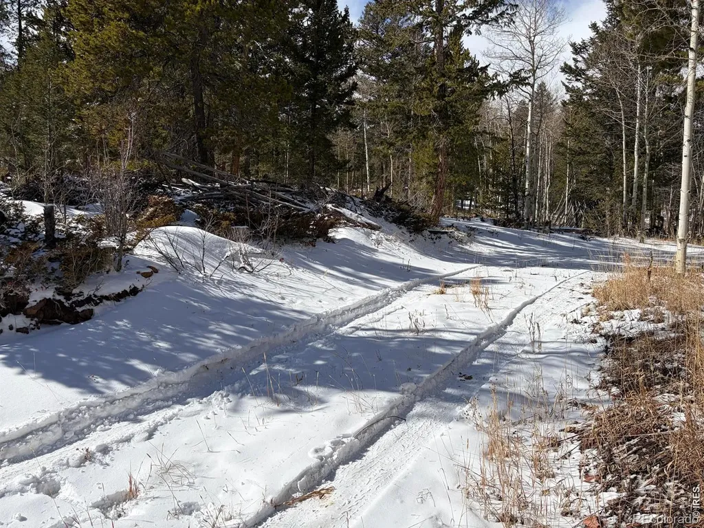 171 Spokane Court Red Feather Lakes CO 80545
