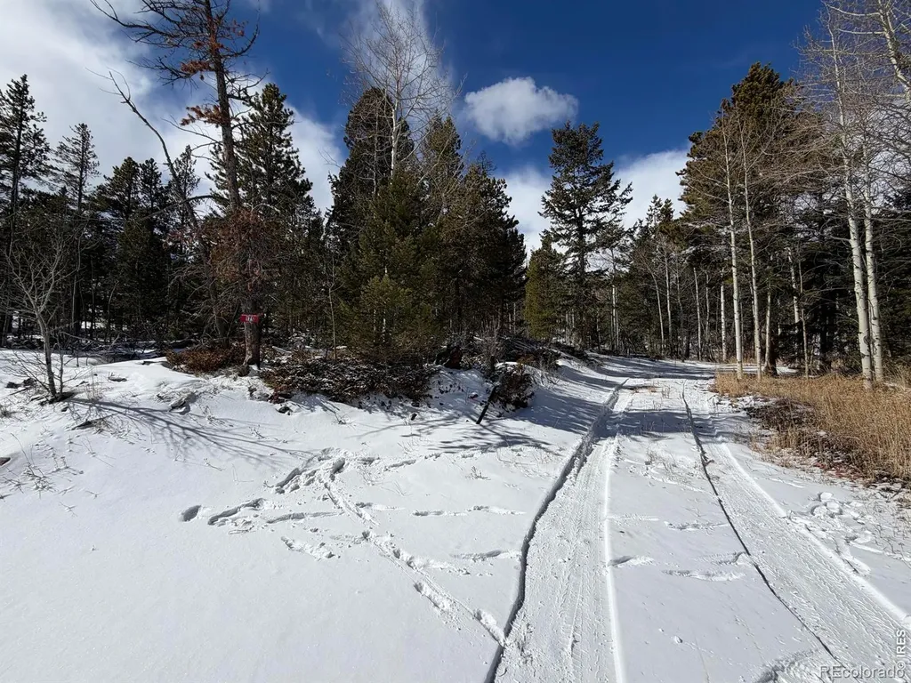171 Spokane Court Red Feather Lakes CO 80545