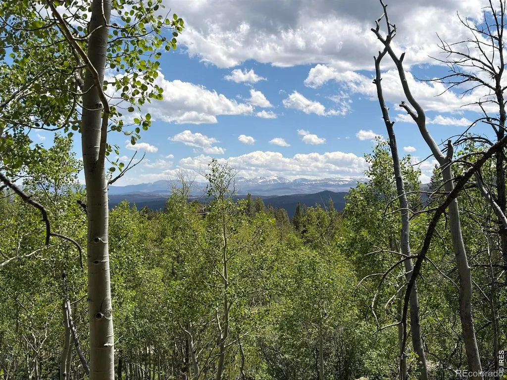 171 Spokane Court Red Feather Lakes CO 80545
