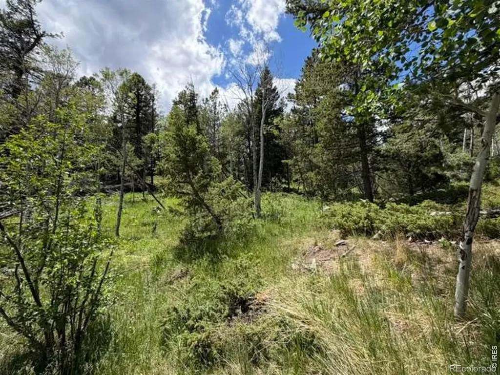 171 Spokane Court Red Feather Lakes CO 80545