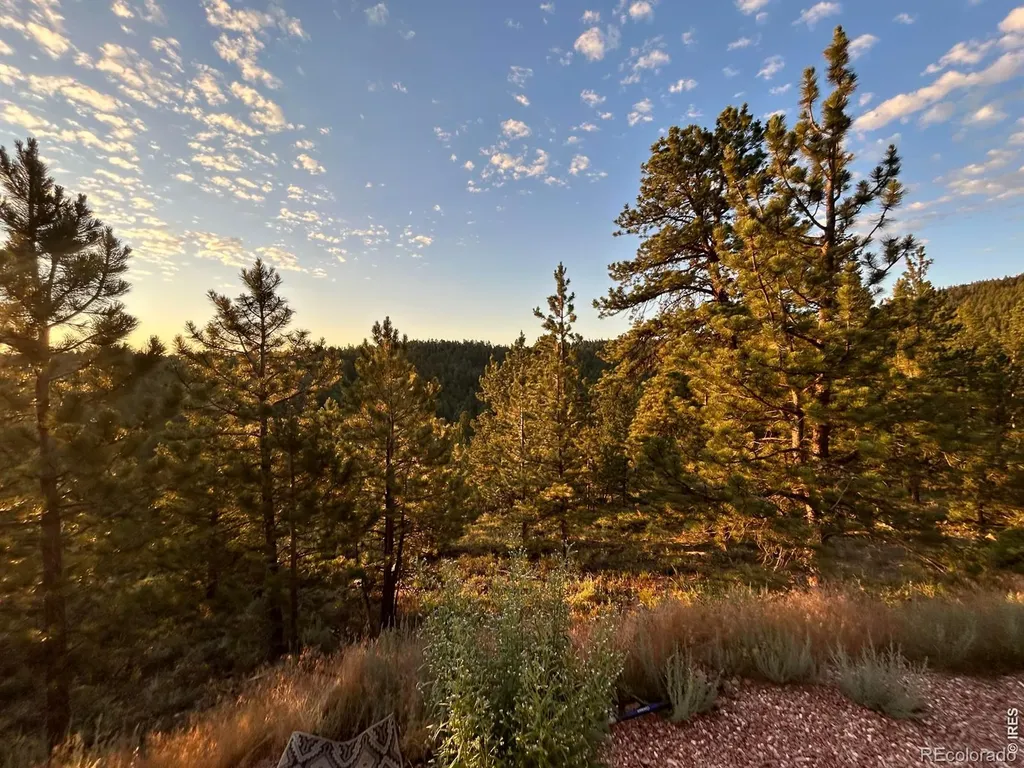 416 Comanche Circle Red Feather Lakes CO 80545