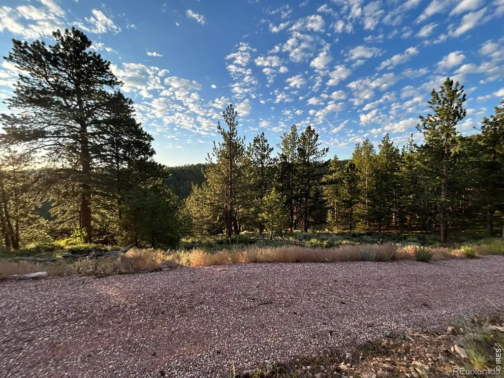 416 Comanche Circle Red Feather Lakes CO 80545