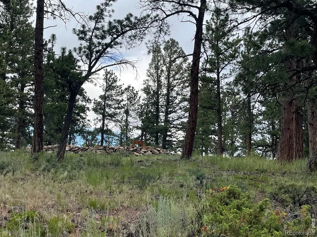 416 Comanche Circle Red Feather Lakes CO 80545