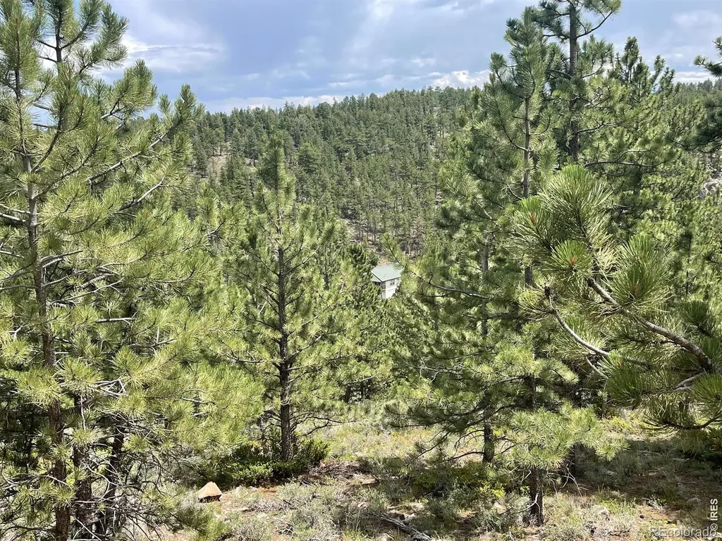 416 Comanche Circle Red Feather Lakes CO 80545
