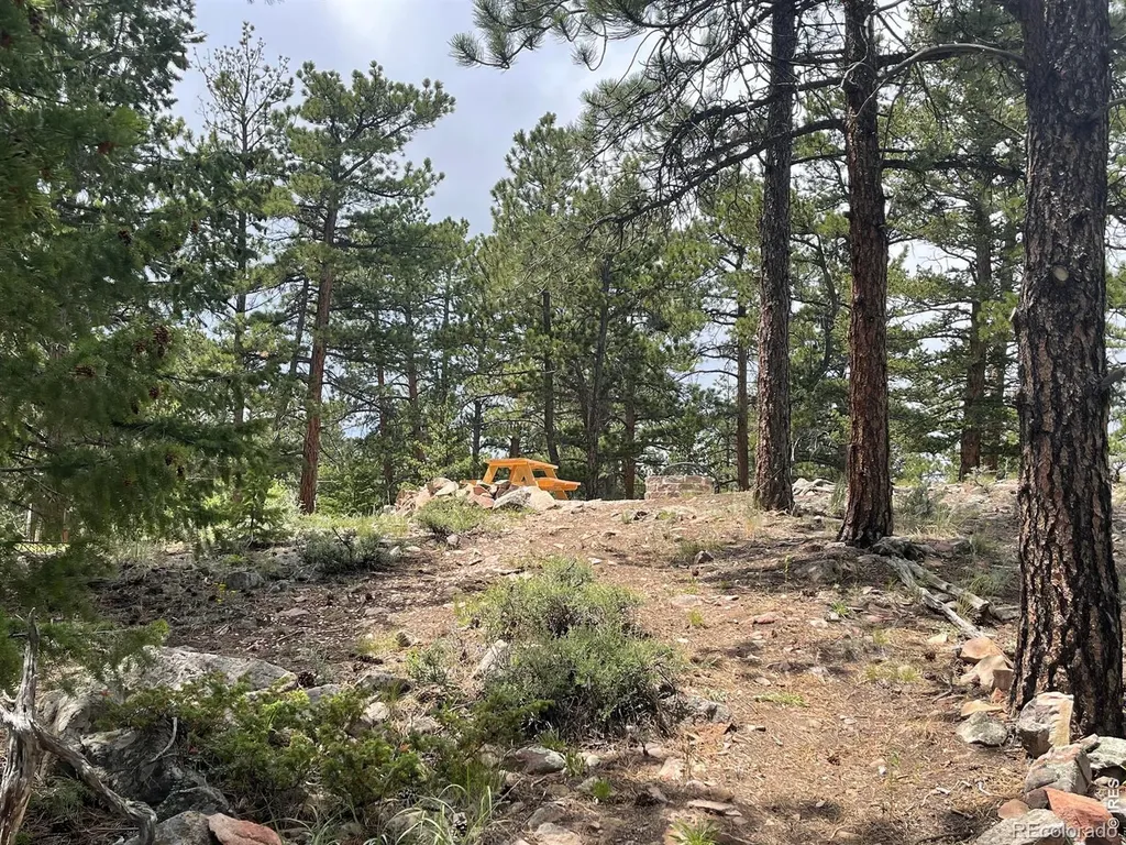 416 Comanche Circle Red Feather Lakes CO 80545