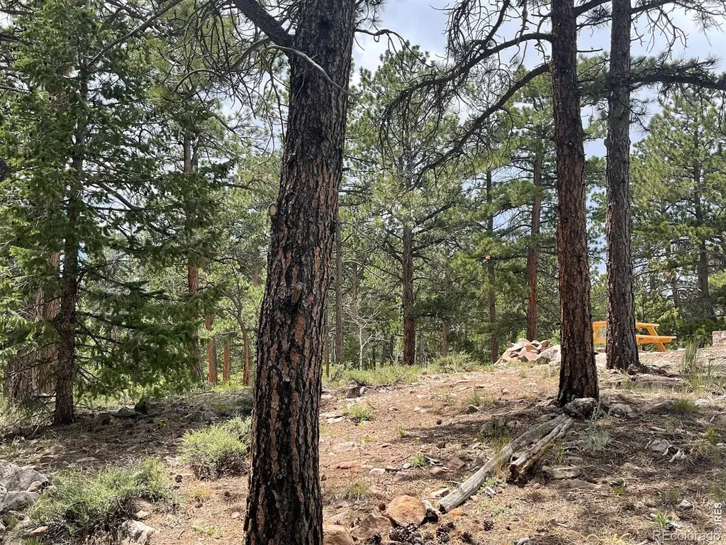 416 Comanche Circle Red Feather Lakes CO 80545