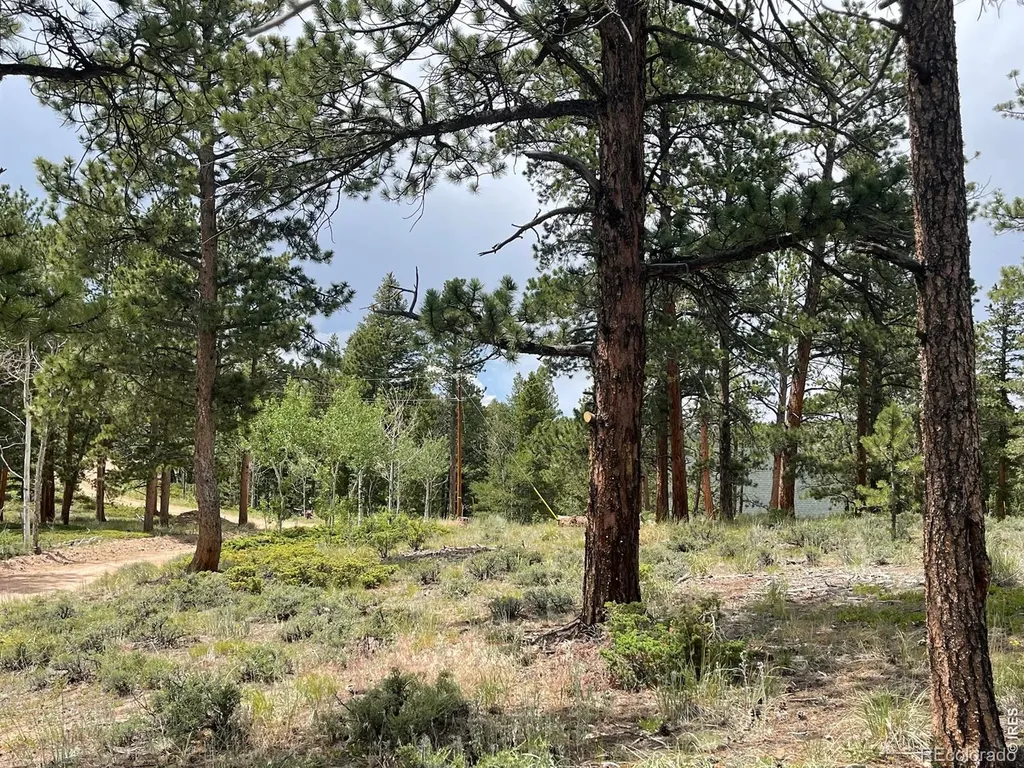416 Comanche Circle Red Feather Lakes CO 80545