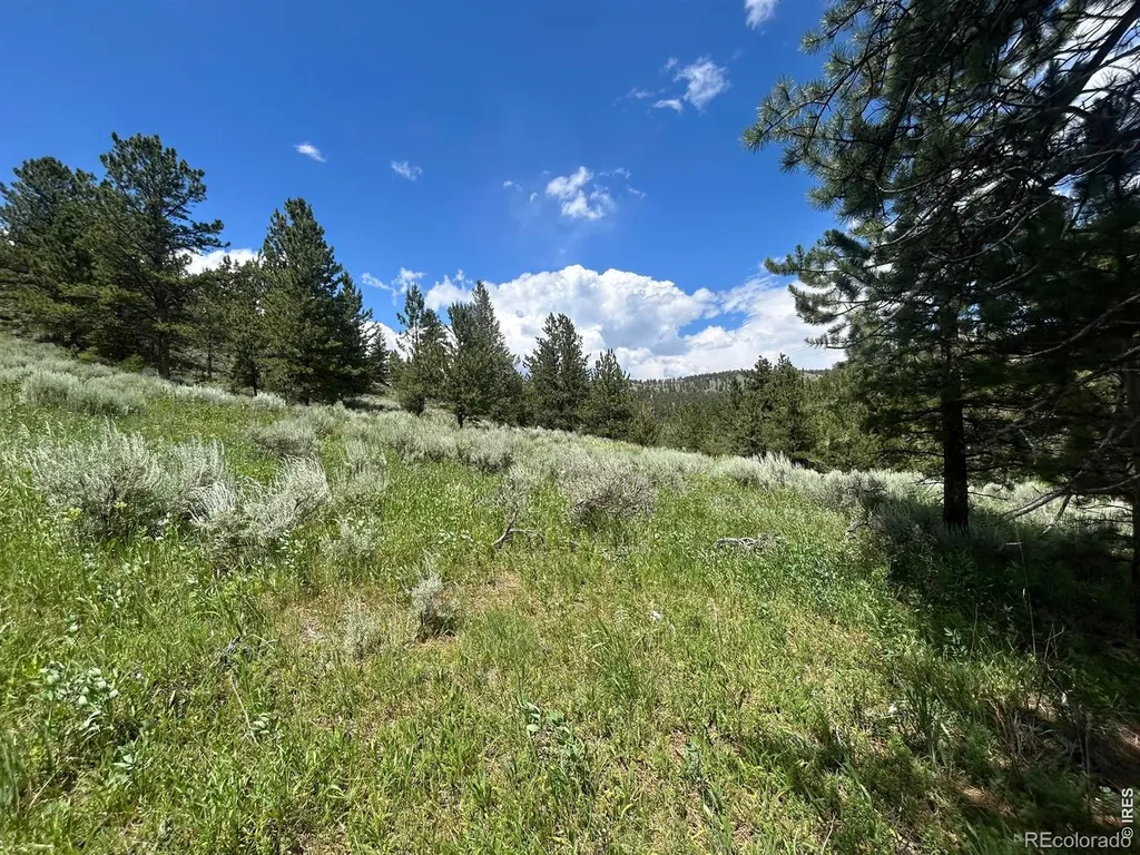 416 Comanche Circle Red Feather Lakes CO 80545