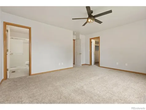 305 Amber Drive Windsor CO 80550